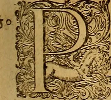 An illustration from Hispaniae illvstratæ; sev. Rervm. vrbivmq. Hispaniæ, Lvsitaniæ, Æthiopiæ et Indiæ scriptores varii., 1603, leaf 1218