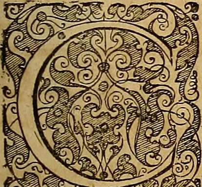 An illustration from Hispaniae illvstratæ; sev. Rervm. vrbivmq. Hispaniæ, Lvsitaniæ, Æthiopiæ et Indiæ scriptores varii., 1603, leaf 1228