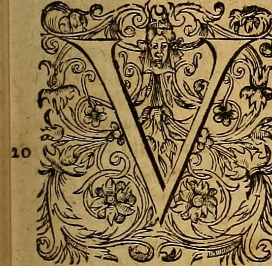 An illustration from Hispaniae illvstratæ; sev. Rervm. vrbivmq. Hispaniæ, Lvsitaniæ, Æthiopiæ et Indiæ scriptores varii., 1603, leaf 1230