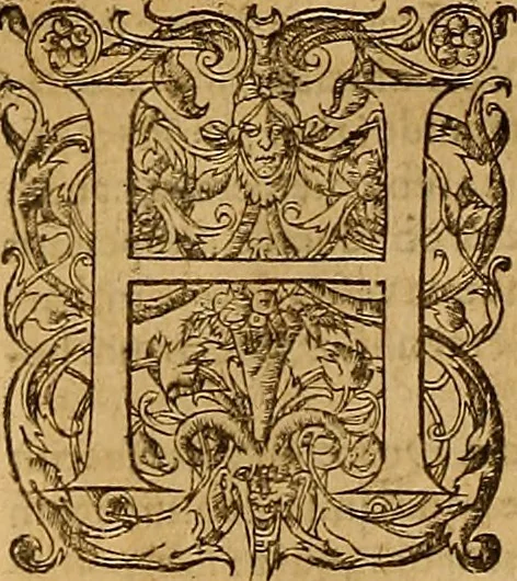 An illustration from Hispaniae illvstratæ; sev. Rervm. vrbivmq. Hispaniæ, Lvsitaniæ, Æthiopiæ et Indiæ scriptores varii., 1603, leaf 1261
