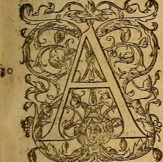 An illustration from Hispaniae illvstratæ; sev. Rervm. vrbivmq. Hispaniæ, Lvsitaniæ, Æthiopiæ et Indiæ scriptores varii., 1603, leaf 1262