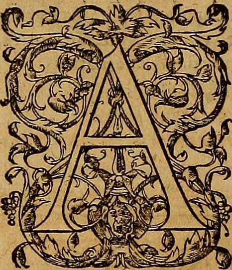 An illustration from Hispaniae illvstratæ; sev. Rervm. vrbivmq. Hispaniæ, Lvsitaniæ, Æthiopiæ et Indiæ scriptores varii., 1603, leaf 1285