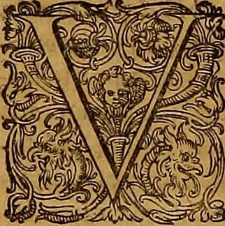 An illustration from Hispaniae illvstratæ; sev. Rervm. vrbivmq. Hispaniæ, Lvsitaniæ, Æthiopiæ et Indiæ scriptores varii., 1603, leaf 1293