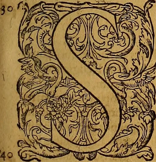 An illustration from Hispaniae illvstratæ; sev. Rervm. vrbivmq. Hispaniæ, Lvsitaniæ, Æthiopiæ et Indiæ scriptores varii., 1603, leaf 1294