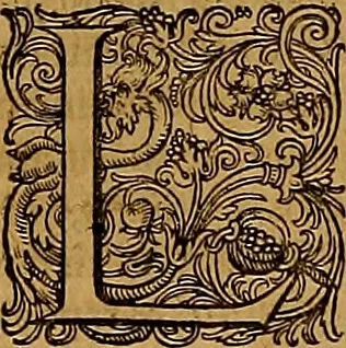 An illustration from Hispaniae illvstratæ; sev. Rervm. vrbivmq. Hispaniæ, Lvsitaniæ, Æthiopiæ et Indiæ scriptores varii., 1603, leaf 1321