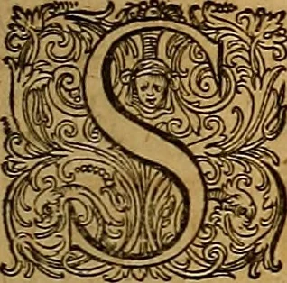 An illustration from Hispaniae illvstratæ; sev. Rervm. vrbivmq. Hispaniæ, Lvsitaniæ, Æthiopiæ et Indiæ scriptores varii., 1603, leaf 1322