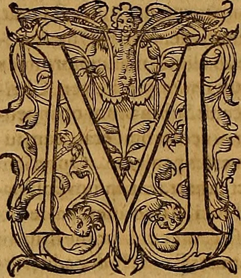 An illustration from Hispaniae illvstratæ; sev. Rervm. vrbivmq. Hispaniæ, Lvsitaniæ, Æthiopiæ et Indiæ scriptores varii., 1603, leaf 1335