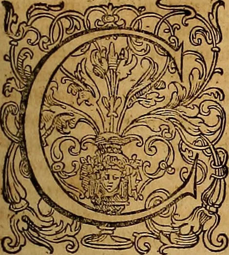 An illustration from Hispaniae illvstratæ; sev. Rervm. vrbivmq. Hispaniæ, Lvsitaniæ, Æthiopiæ et Indiæ scriptores varii., 1603, leaf 1336
