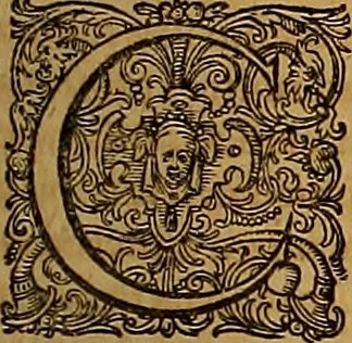 An illustration from Hispaniae illvstratæ; sev. Rervm. vrbivmq. Hispaniæ, Lvsitaniæ, Æthiopiæ et Indiæ scriptores varii., 1603, leaf 1342