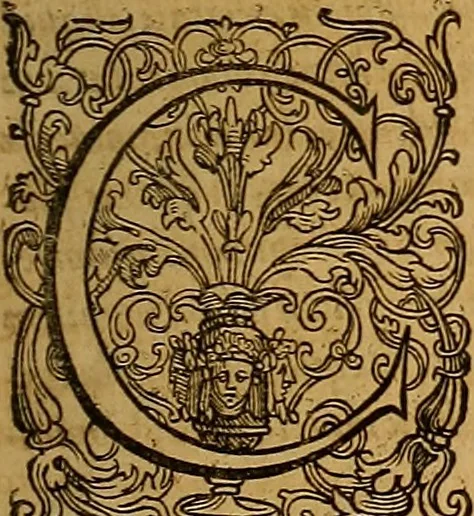 An illustration from Hispaniae illvstratæ; sev. Rervm. vrbivmq. Hispaniæ, Lvsitaniæ, Æthiopiæ et Indiæ scriptores varii., 1603, leaf 1352