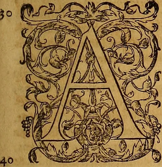 An illustration from Hispaniae illvstratæ; sev. Rervm. vrbivmq. Hispaniæ, Lvsitaniæ, Æthiopiæ et Indiæ scriptores varii., 1603, leaf 1354