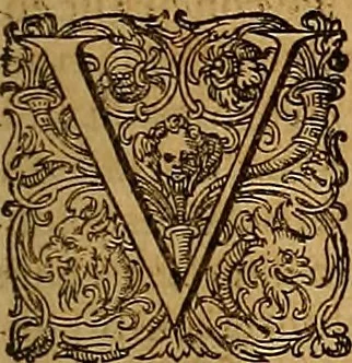 An illustration from Hispaniae illvstratæ; sev. Rervm. vrbivmq. Hispaniæ, Lvsitaniæ, Æthiopiæ et Indiæ scriptores varii., 1603, leaf 136