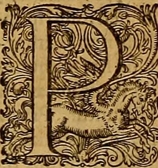 An illustration from Hispaniae illvstratæ; sev. Rervm. vrbivmq. Hispaniæ, Lvsitaniæ, Æthiopiæ et Indiæ scriptores varii., 1603, leaf 1379