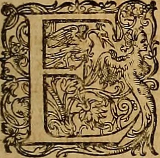 An illustration from Hispaniae illvstratæ; sev. Rervm. vrbivmq. Hispaniæ, Lvsitaniæ, Æthiopiæ et Indiæ scriptores varii., 1603, leaf 146