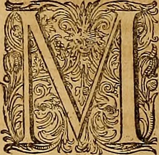 An illustration from Hispaniae illvstratæ; sev. Rervm. vrbivmq. Hispaniæ, Lvsitaniæ, Æthiopiæ et Indiæ scriptores varii., 1603, leaf 155