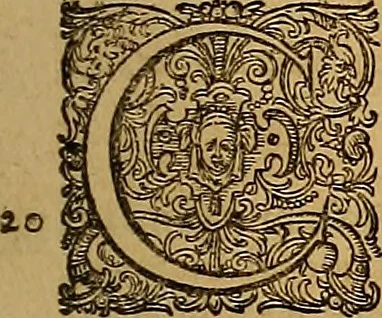 An illustration from Hispaniae illvstratæ; sev. Rervm. vrbivmq. Hispaniæ, Lvsitaniæ, Æthiopiæ et Indiæ scriptores varii., 1603, leaf 166