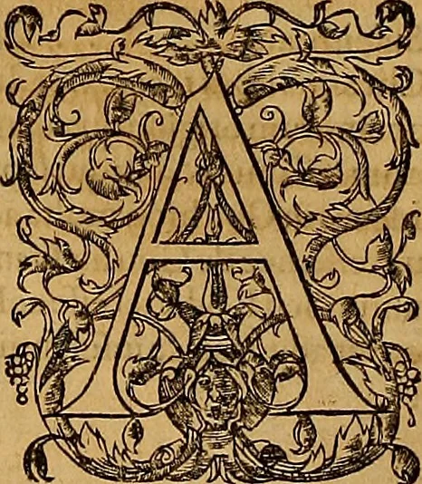 An illustration from Hispaniae illvstratæ; sev. Rervm. vrbivmq. Hispaniæ, Lvsitaniæ, Æthiopiæ et Indiæ scriptores varii., 1603, leaf 169