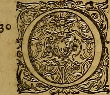 An illustration from Hispaniae illvstratæ; sev. Rervm. vrbivmq. Hispaniæ, Lvsitaniæ, Æthiopiæ et Indiæ scriptores varii., 1603, leaf 202