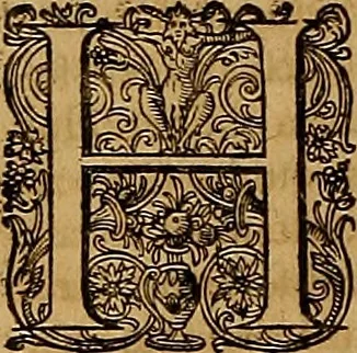 An illustration from Hispaniae illvstratæ; sev. Rervm. vrbivmq. Hispaniæ, Lvsitaniæ, Æthiopiæ et Indiæ scriptores varii., 1603, leaf 241