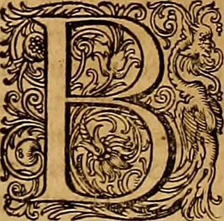 An illustration from Hispaniae illvstratæ; sev. Rervm. vrbivmq. Hispaniæ, Lvsitaniæ, Æthiopiæ et Indiæ scriptores varii., 1603, leaf 269