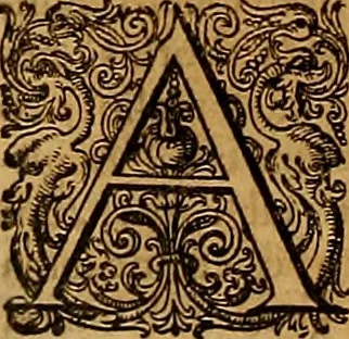 An illustration from Hispaniae illvstratæ; sev. Rervm. vrbivmq. Hispaniæ, Lvsitaniæ, Æthiopiæ et Indiæ scriptores varii., 1603, leaf 297