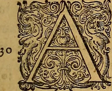 An illustration from Hispaniae illvstratæ; sev. Rervm. vrbivmq. Hispaniæ, Lvsitaniæ, Æthiopiæ et Indiæ scriptores varii., 1603, leaf 32