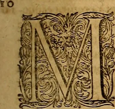 An illustration from Hispaniae illvstratæ; sev. Rervm. vrbivmq. Hispaniæ, Lvsitaniæ, Æthiopiæ et Indiæ scriptores varii., 1603, leaf 328