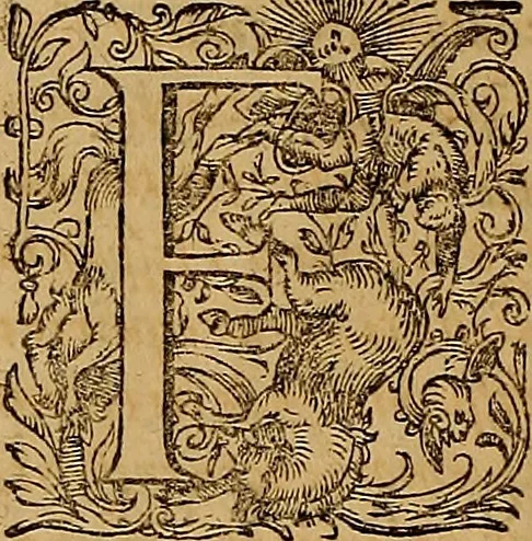 An illustration from Hispaniae illvstratæ; sev. Rervm. vrbivmq. Hispaniæ, Lvsitaniæ, Æthiopiæ et Indiæ scriptores varii., 1603, leaf 33