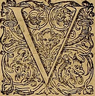 An illustration from Hispaniae illvstratæ; sev. Rervm. vrbivmq. Hispaniæ, Lvsitaniæ, Æthiopiæ et Indiæ scriptores varii., 1603, leaf 35