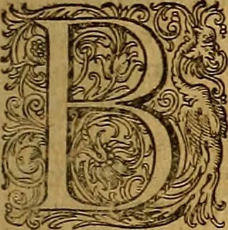 An illustration from Hispaniae illvstratæ; sev. Rervm. vrbivmq. Hispaniæ, Lvsitaniæ, Æthiopiæ et Indiæ scriptores varii., 1603, leaf 360