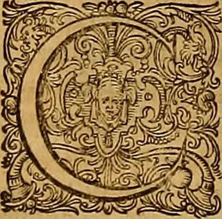 An illustration from Hispaniae illvstratæ; sev. Rervm. vrbivmq. Hispaniæ, Lvsitaniæ, Æthiopiæ et Indiæ scriptores varii., 1603, leaf 461
