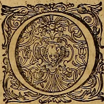 An illustration from Hispaniae illvstratæ; sev. Rervm. vrbivmq. Hispaniæ, Lvsitaniæ, Æthiopiæ et Indiæ scriptores varii., 1603, leaf 493