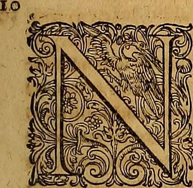 An illustration from Hispaniae illvstratæ; sev. Rervm. vrbivmq. Hispaniæ, Lvsitaniæ, Æthiopiæ et Indiæ scriptores varii., 1603, leaf 528