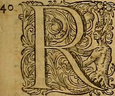An illustration from Hispaniae illvstratæ; sev. Rervm. vrbivmq. Hispaniæ, Lvsitaniæ, Æthiopiæ et Indiæ scriptores varii., 1603, leaf 562