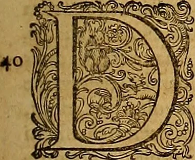 An illustration from Hispaniae illvstratæ; sev. Rervm. vrbivmq. Hispaniæ, Lvsitaniæ, Æthiopiæ et Indiæ scriptores varii., 1603, leaf 592