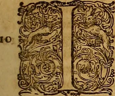 An illustration from Hispaniae illvstratæ; sev. Rervm. vrbivmq. Hispaniæ, Lvsitaniæ, Æthiopiæ et Indiæ scriptores varii., 1603, leaf 620