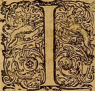 An illustration from Hispaniae illvstratæ; sev. Rervm. vrbivmq. Hispaniæ, Lvsitaniæ, Æthiopiæ et Indiæ scriptores varii., 1603, leaf 645