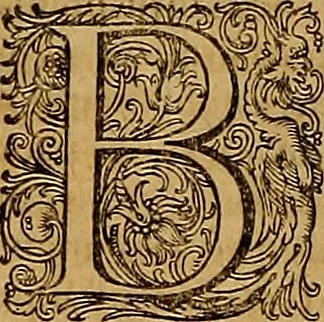 An illustration from Hispaniae illvstratæ; sev. Rervm. vrbivmq. Hispaniæ, Lvsitaniæ, Æthiopiæ et Indiæ scriptores varii., 1603, leaf 705