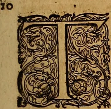 An illustration from Hispaniae illvstratæ; sev. Rervm. vrbivmq. Hispaniæ, Lvsitaniæ, Æthiopiæ et Indiæ scriptores varii., 1603, leaf 786