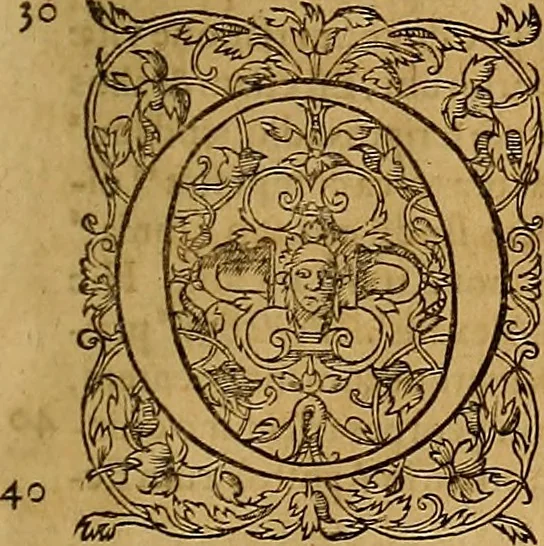 An illustration from Hispaniae illvstratæ; sev. Rervm. vrbivmq. Hispaniæ, Lvsitaniæ, Æthiopiæ et Indiæ scriptores varii., 1603, leaf 8