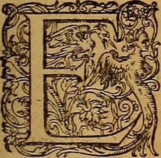 An illustration from Hispaniae illvstratæ; sev. Rervm. vrbivmq. Hispaniæ, Lvsitaniæ, Æthiopiæ et Indiæ scriptores varii., 1603, leaf 834