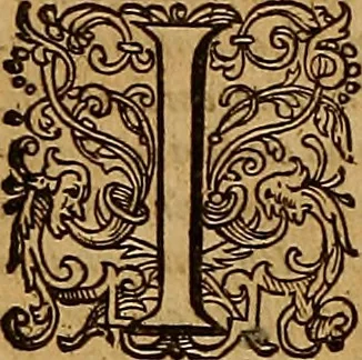 An illustration from Hispaniae illvstratæ; sev. Rervm. vrbivmq. Hispaniæ, Lvsitaniæ, Æthiopiæ et Indiæ scriptores varii., 1603, leaf 837