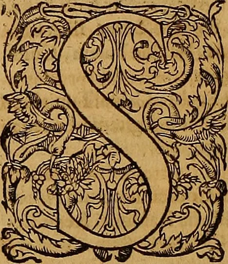 An illustration from Hispaniae illvstratæ; sev. Rervm. vrbivmq. Hispaniæ, Lvsitaniæ, Æthiopiæ et Indiæ scriptores varii., 1603, leaf 841