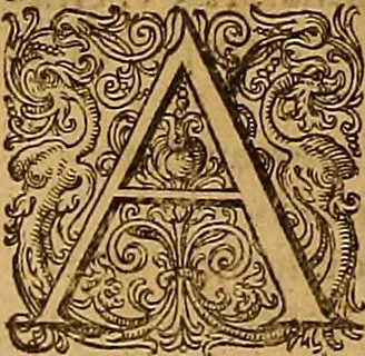 An illustration from Hispaniae illvstratæ; sev. Rervm. vrbivmq. Hispaniæ, Lvsitaniæ, Æthiopiæ et Indiæ scriptores varii., 1603, leaf 847