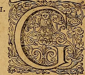 An illustration from Hispaniae illvstratæ; sev. Rervm. vrbivmq. Hispaniæ, Lvsitaniæ, Æthiopiæ et Indiæ scriptores varii., 1603, leaf 855