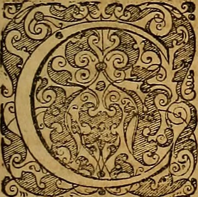 An illustration from Hispaniae illvstratæ; sev. Rervm. vrbivmq. Hispaniæ, Lvsitaniæ, Æthiopiæ et Indiæ scriptores varii., 1603, leaf 868