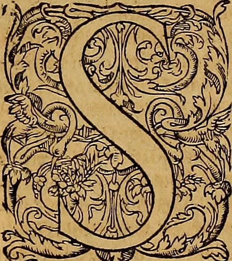 An illustration from Hispaniae illvstratæ; sev. Rervm. vrbivmq. Hispaniæ, Lvsitaniæ, Æthiopiæ et Indiæ scriptores varii., 1603, leaf 899