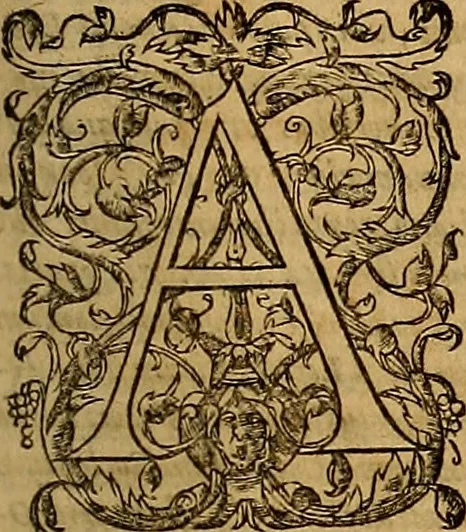 An illustration from Hispaniae illvstratæ; sev. Rervm. vrbivmq. Hispaniæ, Lvsitaniæ, Æthiopiæ et Indiæ scriptores varii., 1603, leaf 900