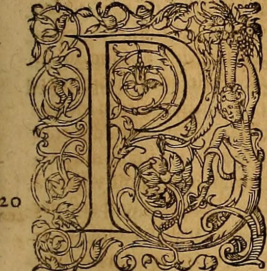 An illustration from Hispaniae illvstratæ; sev. Rervm. vrbivmq. Hispaniæ, Lvsitaniæ, Æthiopiæ et Indiæ scriptores varii., 1603, leaf 906