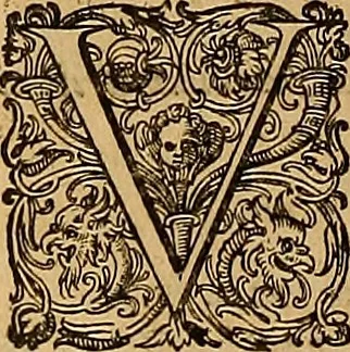 An illustration from Hispaniae illvstratæ; sev. Rervm. vrbivmq. Hispaniæ, Lvsitaniæ, Æthiopiæ et Indiæ scriptores varii., 1603, leaf 957
